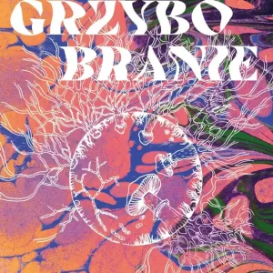 Grzybobranie. Kulturowa historia psylocybiny