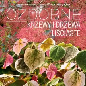 Ozdobne Krzewy i drzewa Liściaste