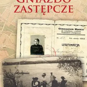 Gniazdo zastępcze