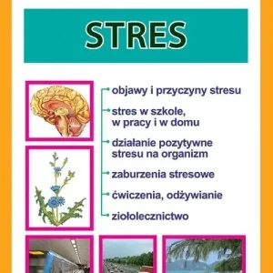 Stres Porady Lekarza Rodzinnego