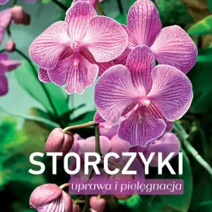Storczyki. Uprawa i pielęgnacja wyd. 2023