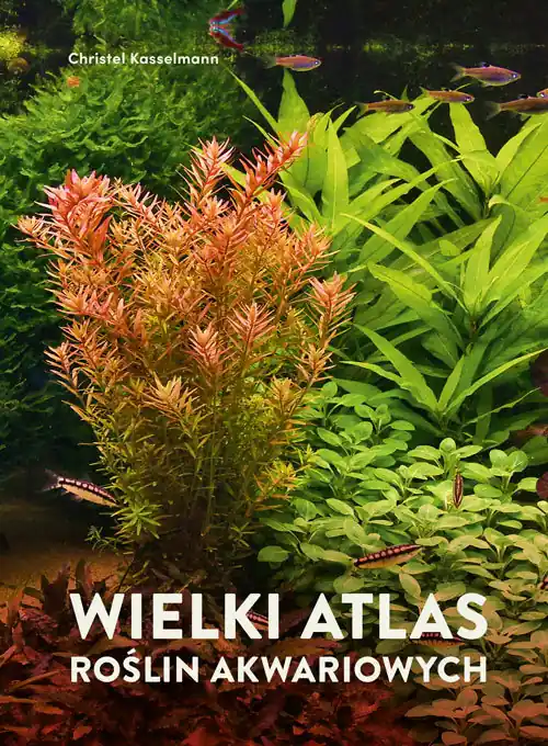 Wielki atlas roślin akwariowych. Mój pierwszy zielnik