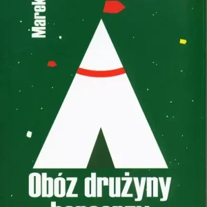 Obóz drużyny harcerzy w XXI wieku