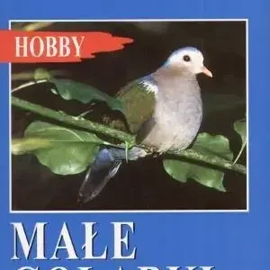 Małe gołąbki