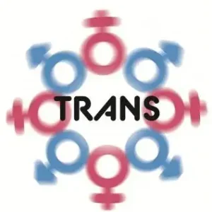 Trans. Gdy ideolgia spotyka się z rzeczywistością