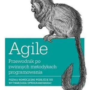 Agile. Przewodnik po zwinnych metodykach program.
