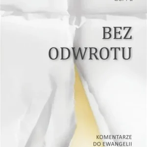 Bez odwrotu. Komentarze do Ewangelii św. Mateusza