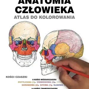 Anatomia człowieka. Atlas do kolorowania