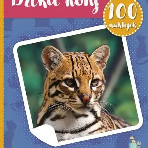 Dzikie koty. 100 naklejek z plakatem