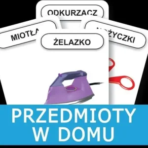 Karty Rozwijamy mowę i myślenie dziecka Przedmioty w domu
