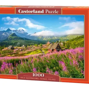 Puzzle 1000 Tatry Hala Gąsienicowa C-104512