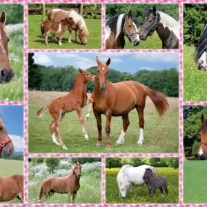 Puzzle 150 Konie 106960