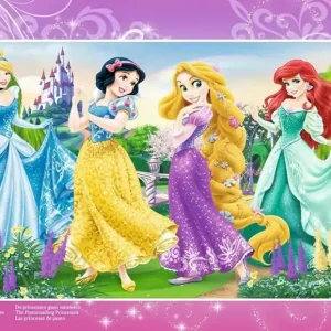 Puzzle 15 Disney Princess Frame