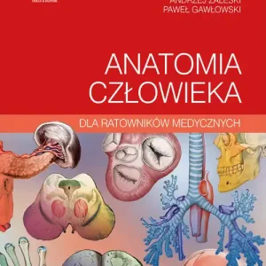 Anatomia człowieka dla ratowników medycznych