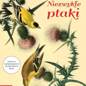 Kolorowanka relaksacyjna. Niezwykłe ptaki