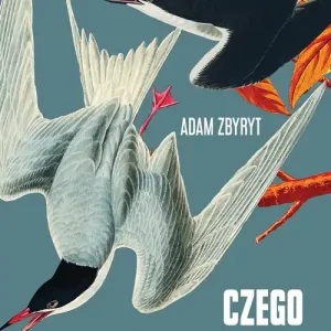 Czego się boją ptaki?