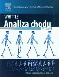 Whittle Analiza chodu